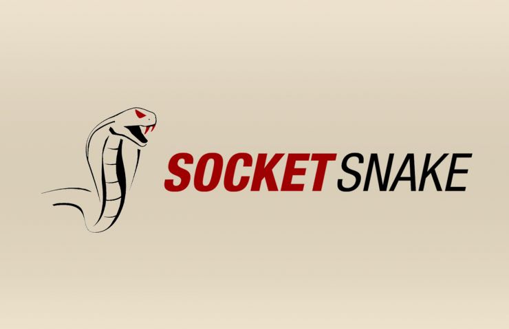 SocketSnake Branding and Identity Image